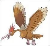 Quel est ce Pokmon ?