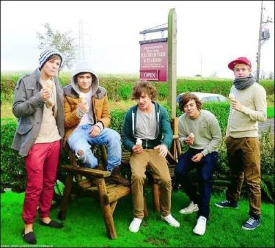 Qui aime  Prison Break  ?