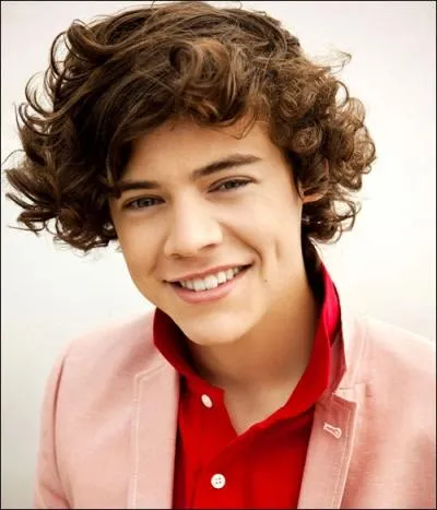 Lors d'une interview Harry a pleur  cause des gens qui l'insultent