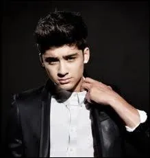 Un jour, Louis a pouss Zayn  l'eau en oubliant que celui-ci ne savait pas nager