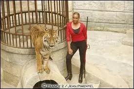 Qui dirige les tigres dans la salle du trsor ?