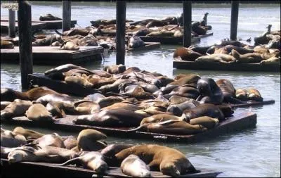 Quel est ce monument ?