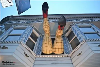 Comment se nomme le quartier de San Francisco o est n le mouvement hippie ?