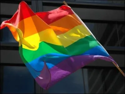 Comment se nomme le quartier de San Francisco regroupant une forte population homosexuelle ?