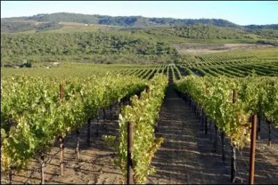 La Nappa Valley produit...