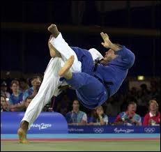 Que signifie le terme  judo  ?
