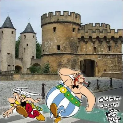 Nos deux amis fuiraient-ils devant un sanglier devenu furieux  ... .