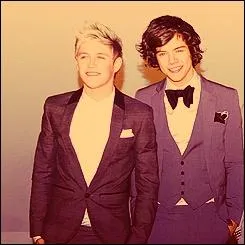 Quel prix ont-ils gagn durant les  Brit Awards  ?