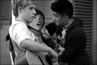 Quel est le plus vieux membre du groupe et quel ge a-t-il ?