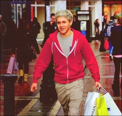 Quelle chanson Niall a-t-il interprte au  Bootcamp  ?