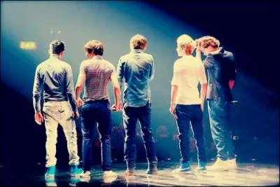 Quelle chanson reprennent-ils en concert ?