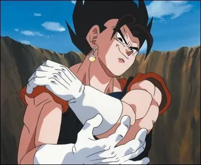 Comment s'appelle la fusion avec les potelas ?