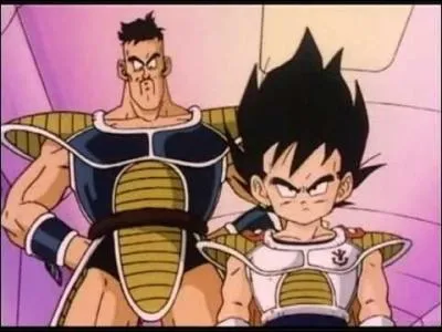 Qui accompagne Vegeta depuis sa naissance ?