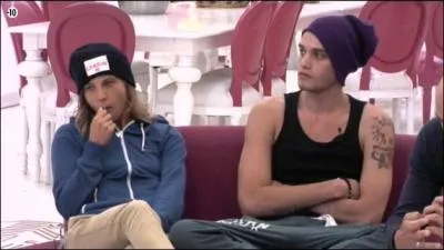 Comment Julien et �milie ont-ils appel� le  candidat myst�re  ?