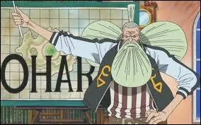 Comment s'appelait le vieux professeur qui a aid� Robin ?