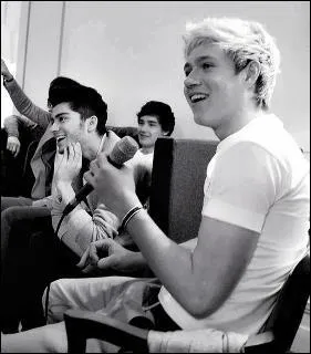 Quel est le plat prfr de Niall ?