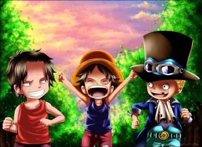 Qui sont les frres de Luffy ?