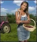 Qui fait la voix-off de l'mision ?