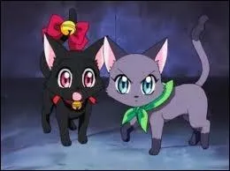 Zoey a-t-elle le pouvoir de communiquer avec les chats ?