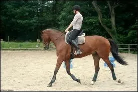 Lesquelles de ces aides sont naturelles ?