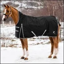 Que ne dois-tu pas oublier de faire avant d'enlever la couverture de ton cheval ?