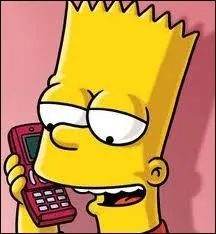 A qui Bart et Lisa aiment-ils faire des blagues au tlphone ?