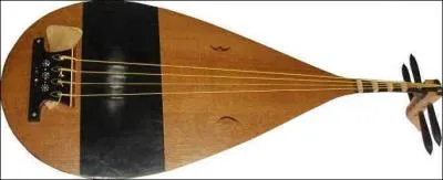 Comment s'appelle cet instrument ?