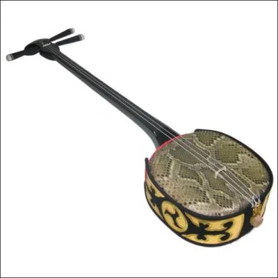 Comment s'appelle cet instrument ?