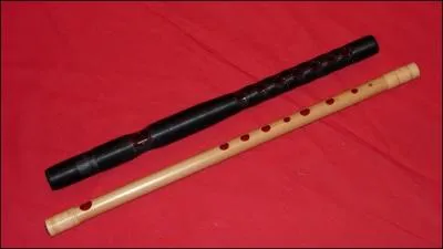 Comment se nomme l'instrument du bas ?