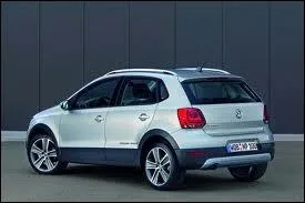 Ce modle n'est autre qu'une Polo rehauss. Quel nom prend-il alors ?