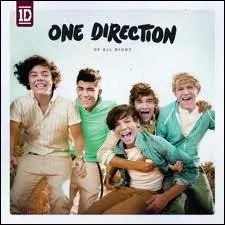 Quels chanteuse et chanteur ont crit une chanson pour leurs album  Up all Night  ?