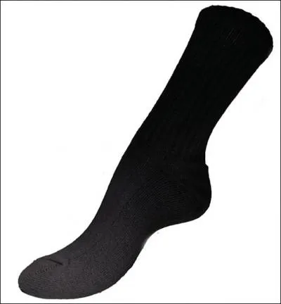 C'est dans ce groupe qu'il atteint la clbrit, grce  Danila, maintenant on l'appelle Monsieur !