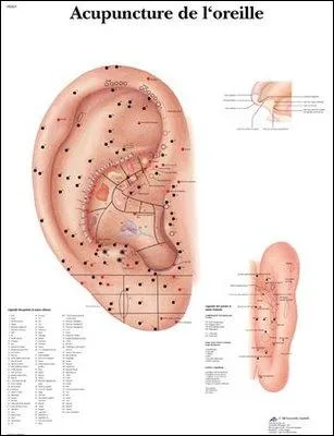 Un tic ou une manie, appelez a comme vous voulez, mais il fallait absolument qu'il se la tienne en chantant, toujours la gauche !