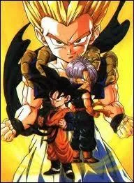Comment s'appelle la fusion de Trunk & Sangoten ?