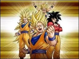 Combien Sangoku a-t-il de transformations