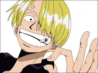 Quel mtier exerce Sanji ?