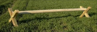 Comment s'appelle l'obstacle d'environ 50 cm que l'on saute en tant dbutant ?