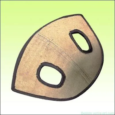 Comment s'appelle cette protection de transport ?