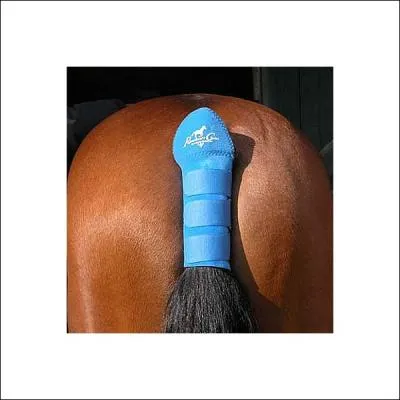 Comment s'appelle cette protection de transport ?