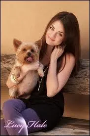 A qui Lucy est-elle trs souvent compare ?