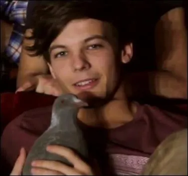 Comment s'appelle le pigeon que Louis a dans les mains ?