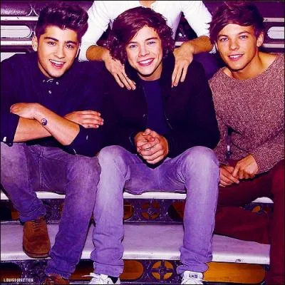 Qui chante 'Every minute's like the last so' dans  Everything About You  ?