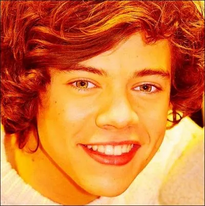 Dans quelle chanson Harry chante-t-il 'He looks at you. The way that I would. Does all the things. I know that I could. If only time could just turn back. ' ?