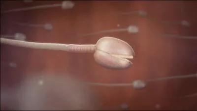 De quel pisode de Bref. cette photo est-elle tire ?