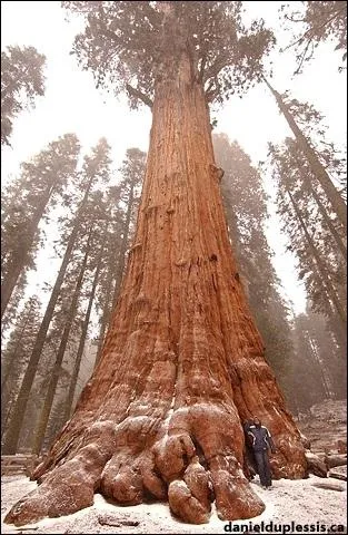Pour la dernire, je vous demande le prnom de ce gant parmi les gants :