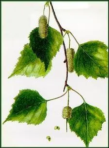 Encore une ! Allez, on se met au :