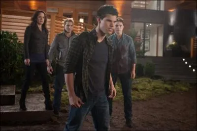 Lorsque Jacob croise le regard de Renesme que voit-on ?