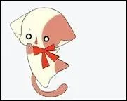 Comment s'appelle le chat de Kilari ?