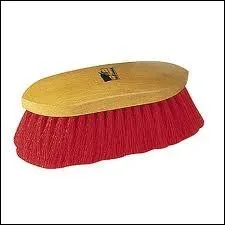 Comment s'appelle cette brosse ?