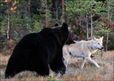 Et ces deux-l, ils semblent amis, qui sont-ils ?